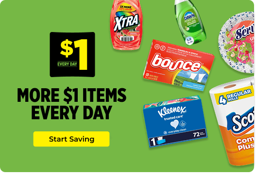 More $1 Cleaning Items Every Day